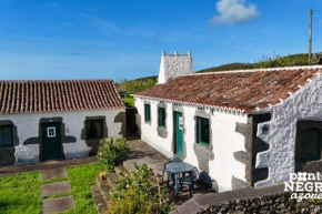 Casa da Serreta by PontaNegraAzores